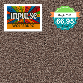 Top view of a square carpet pattern in brown